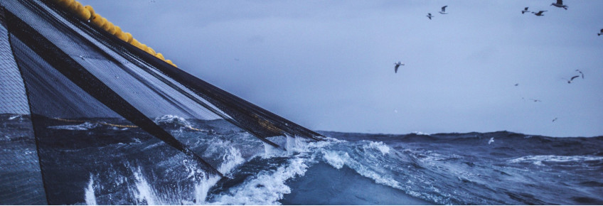 Displays for Maritime life